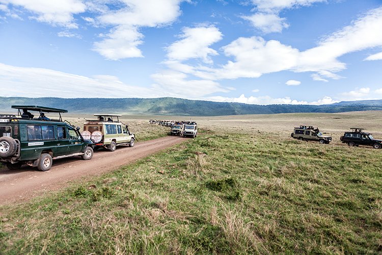 TZA ARU Ngorongoro 2016DEC26 Crater 057